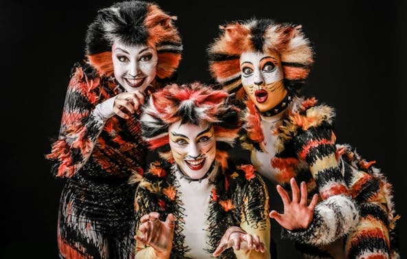 Musical Dinner Weilburg