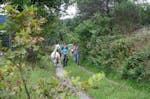 Alpaka Wanderung für 2 Neckar-Odenwald-Kreis