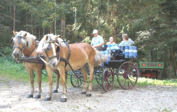 Romantische Pferdeschlittenfahrt Wildalpen für 2 (1 Std.)