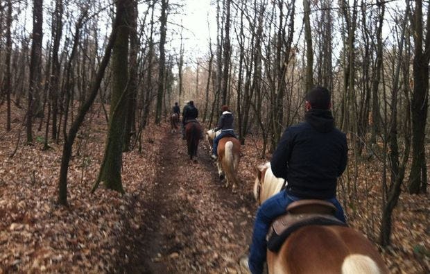Pferde reiten im Naturschutzgebiet Ispra