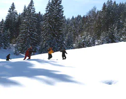 Schneeschuhwanderung Immenstadt - 8