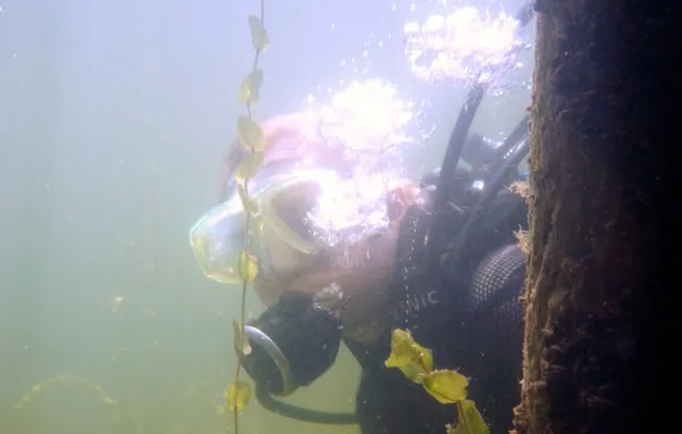 Tauchschnupperkurs Plau am See - 3