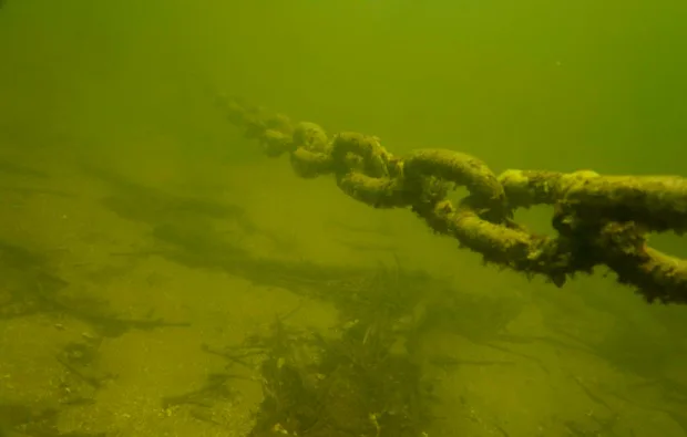 Tauchschnupperkurs Plau am See - 4