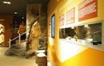 Feengrotten Saalfeld und Museum Grottoneum für 2