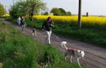 Husky Trekking Werder