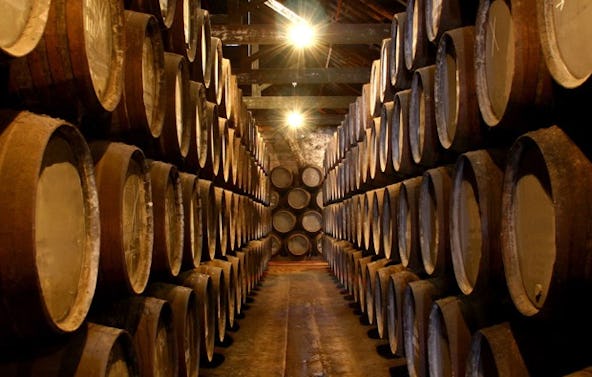 Whisky Käse Tasting Hamburg