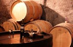 Weindegustation in Nyon