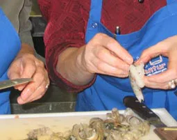 Fischkochkurs in Dresden - 4