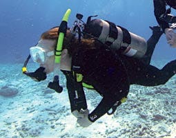 Tauchschnupperkurs Winkelhaid