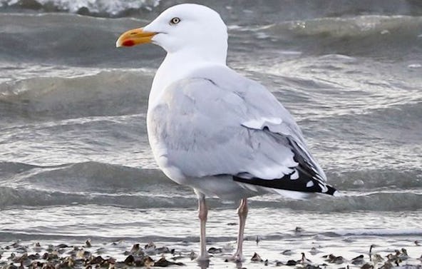 Fotokurs "Zoo" Wuppertal