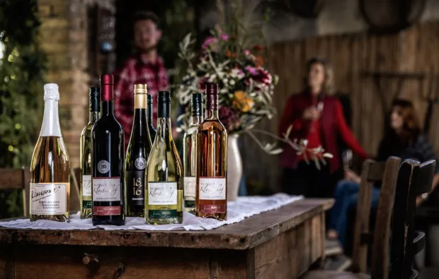Weinbergwanderung mit Verkostung Worms
