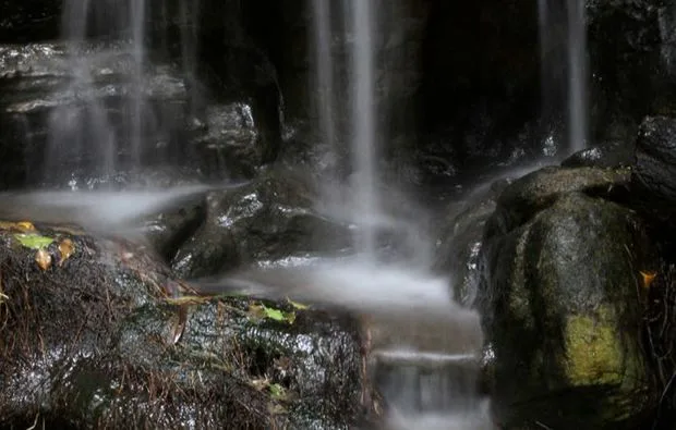 Fotokurs "Erlebnis-Zoo" Hannover - 7