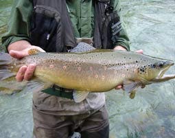 Fliegenfischen Bad Soden