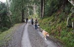 Husky-Trekking Bad Herrenalb