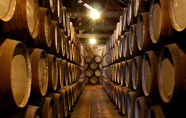 Whisky Käse Tasting Stuttgart - 3