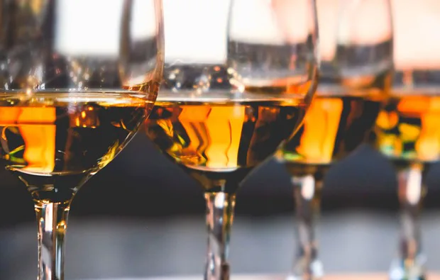 Whisky Käse Tasting Stuttgart - 4