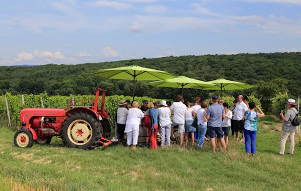 Weinprobe Schweinfurt