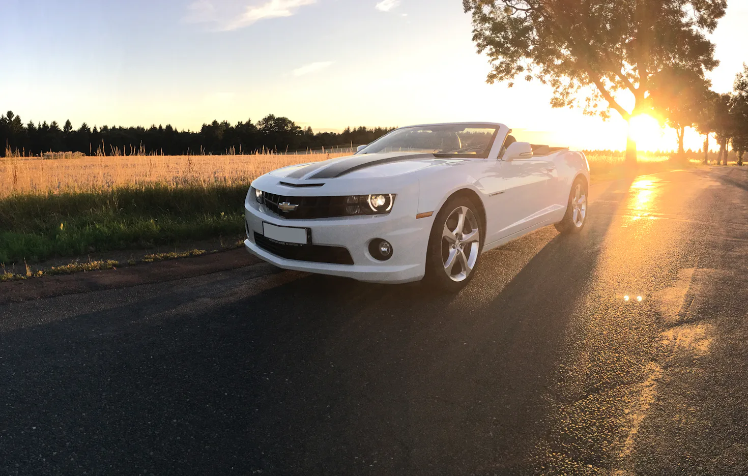 Chevrolet Camaro (4 Std.) Thale - 5