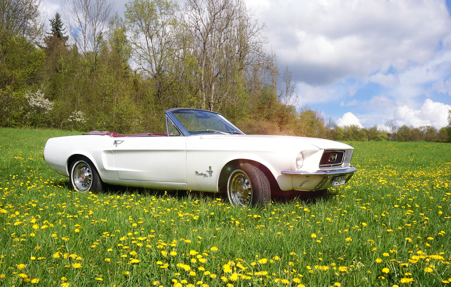 Ford Mustang Oldtimer Tagestour Jena - 2