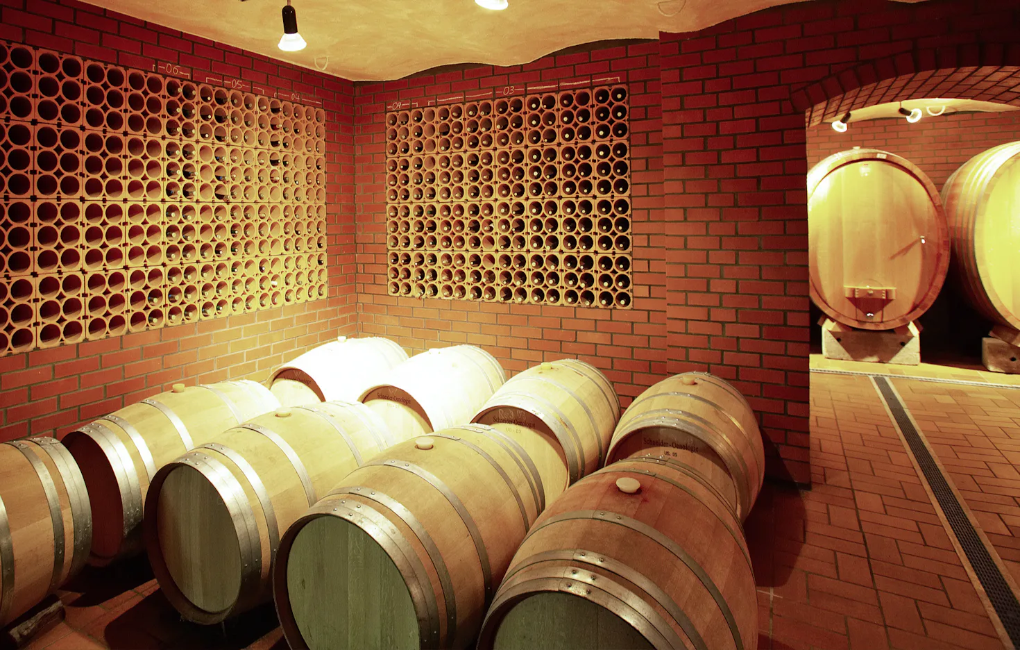 Weinseminar für Genießer für 2 Volxheim - 2