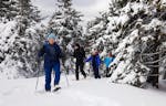 Schneeschuhwanderung Kirchberg am Wechsel