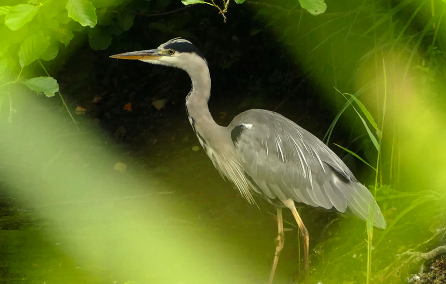 Fotokurs Hamm - 4