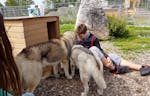 Husky Wanderung Wiedergeltingen für 2