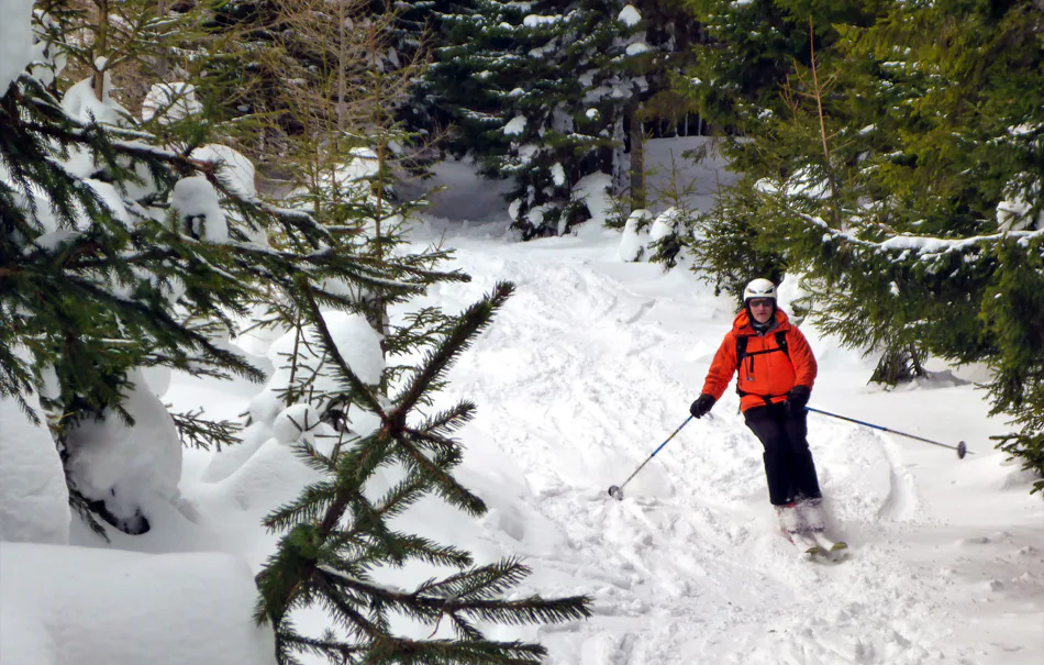 Einsteiger Skitour Neuberg an der Mürz - 4