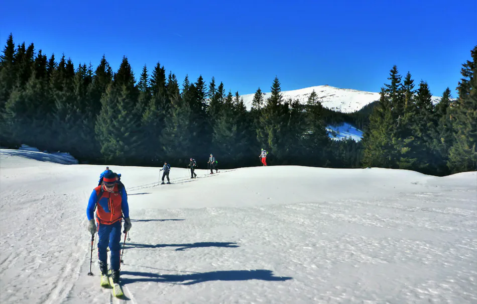 Einsteiger Skitour Türnitz - 3