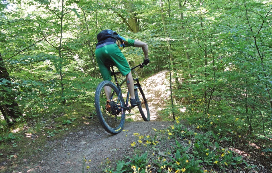 Mountainbike Kurs Brackenheim- Dürrenzimmern
