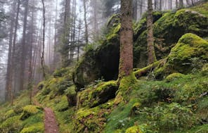 Waldbaden Schramberg