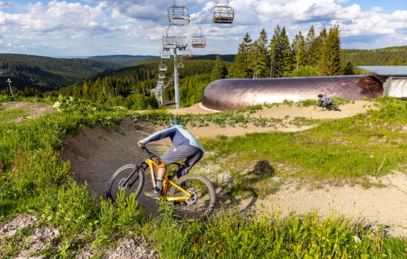 Mountainbike Grundkurs Oberhof
