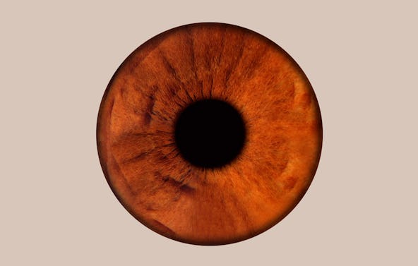 Iris Fotoshooting Nürnberg