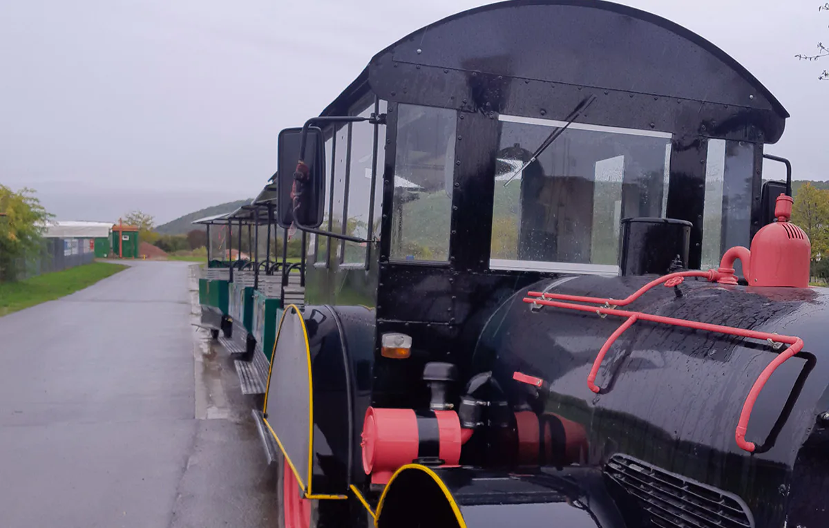 Weinbergrundfahrt mit der Reblaus für 2 - 2
