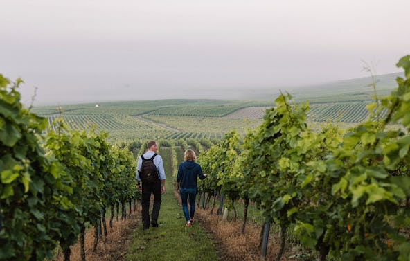 Genusswandern in Rheinhessen Mommenheim für 2 (1 Nacht)