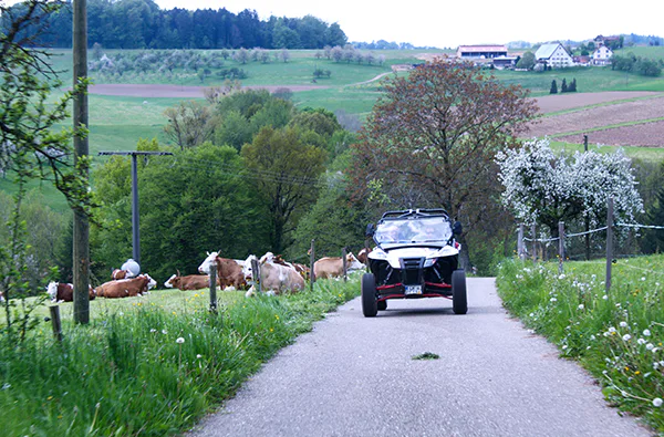 Side by Side Buggy fahren (4 Stunden) - 3