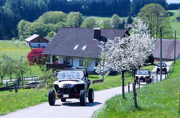 Side by Side Buggy fahren (4 Stunden) - 4