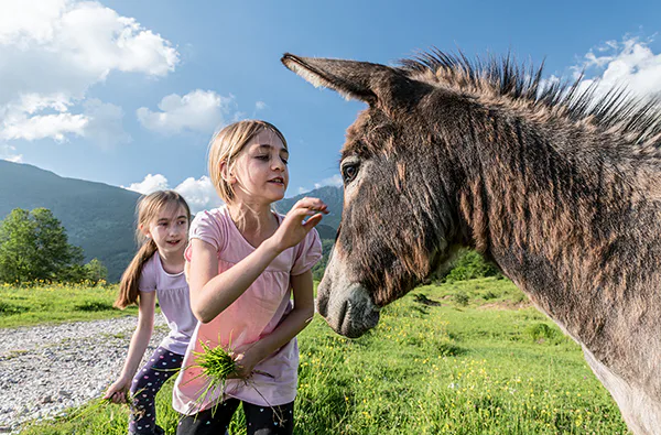Eselwanderung in Untrasried - 2