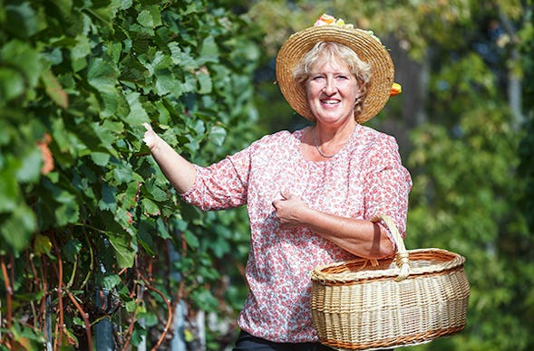 Weinbergwanderung in Buchholz