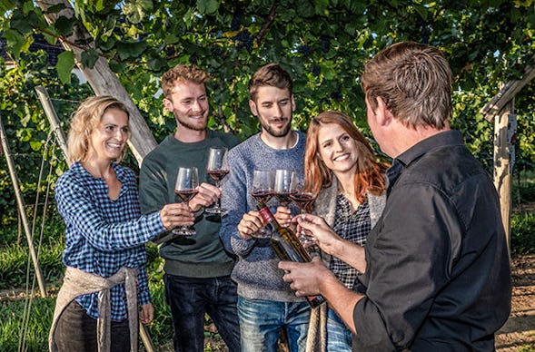 Weinbergwanderung & Weinprobe Raum Heidelberg für 2