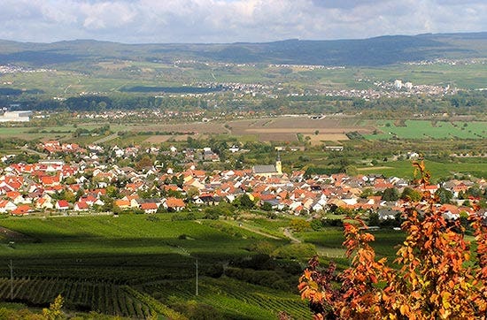 Weinverkostung mit Übernachtung in Rheinhessen für 2