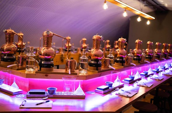 Gin Brennkurs Frankfurt