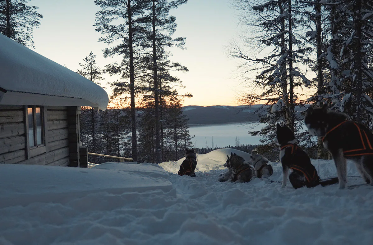 Abenteuerreise Lappland mit Hundeschlitten für 2 (2 Nächte) - 5