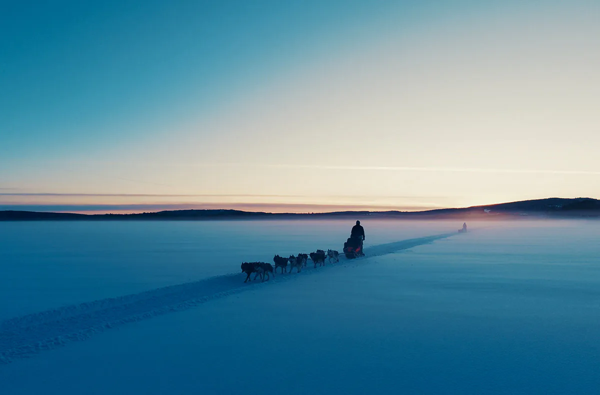 Abenteuerwoche Lappland mit Hundeschlitten für 2 (7 Nächte) - 2