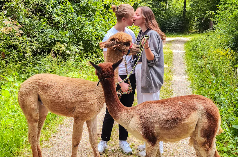 Alpaka Wanderung für 2 Jettingen-Scheppach