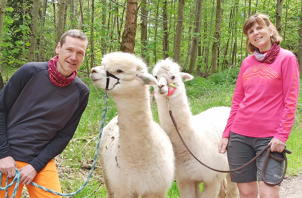 Alpaka Wanderung mit Picknick für 2 Waldenbuch - 1