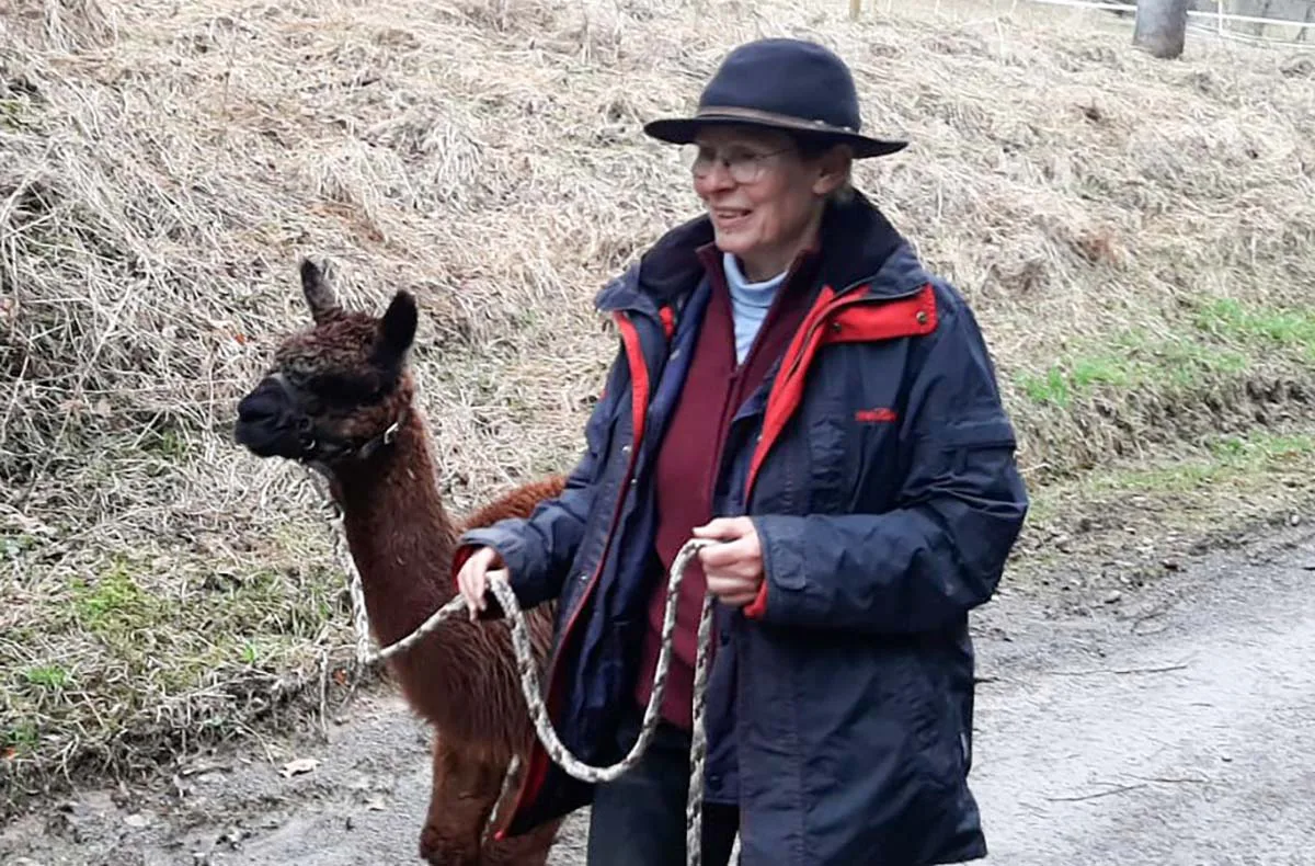 Alpaka Wanderung mit Picknick für 2 Waldenbuch - 5