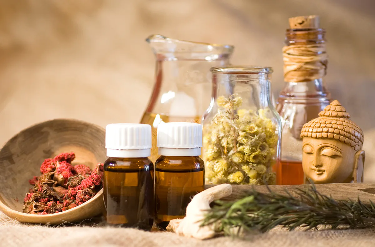 Ayurvedischer Kochkurs Potsdam - 3