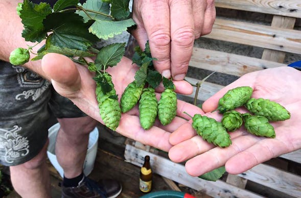 Brauseminar Oberhaching