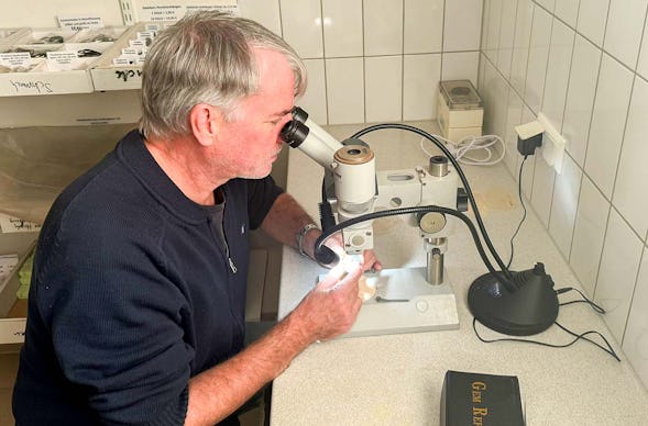 Edelsteinkunde Theoriewissen für Einsteiger Göttingen